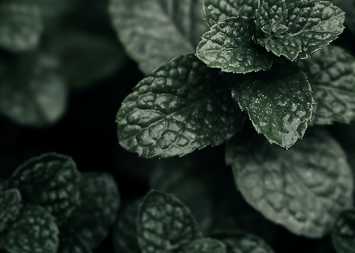 Интернет-магазин BaikalBrand