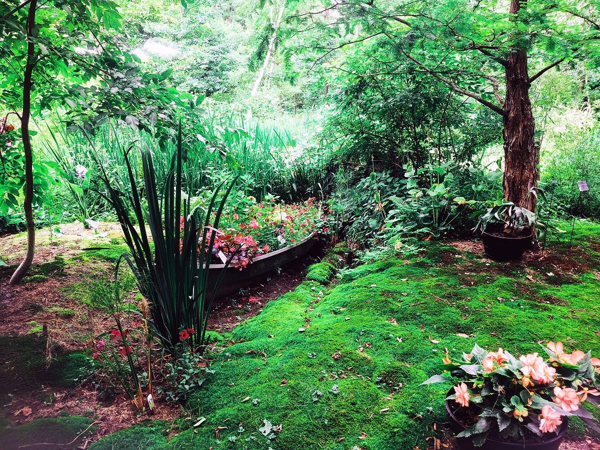 Ландшафтный дизайн 7